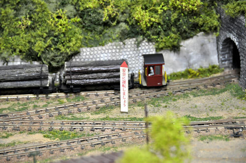 第２１回軽便鉄道模型祭・その１０