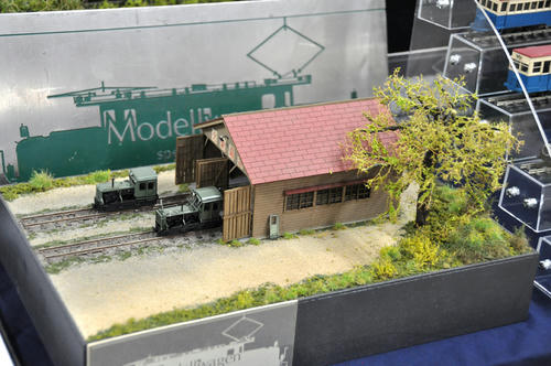 第２１回軽便鉄道模型祭・その１２