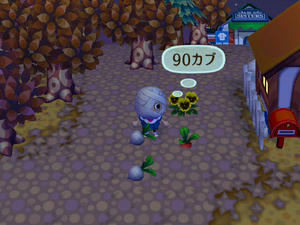 RUU_0008.JPG
