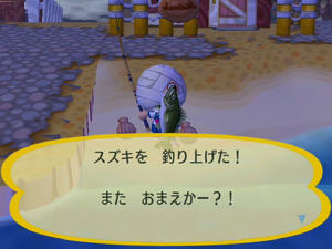 RUU_0013.JPG