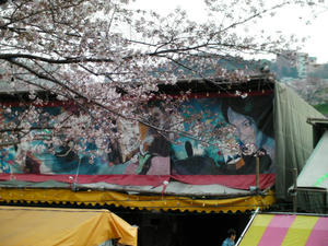 SANY0309.JPG