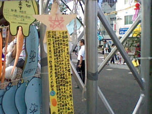 HNI_0039_MPO.JPG