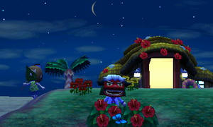 HNI_0056_MPO.JPG