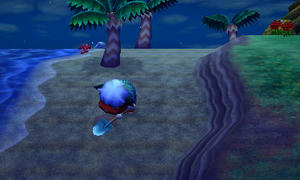 HNI_0061_MPO.JPG