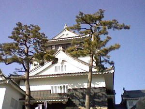 HNI_0076_MPO.JPG
