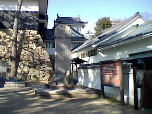 HNI_0075_MPO.JPG