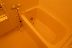 P1090035.JPG