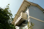 P1100009.JPG