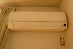 P1100027.JPG