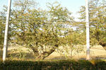 P1100079.JPG