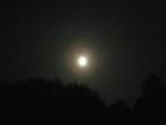 9940d747.jpeg