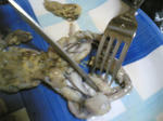 middle_1131978780.jpg