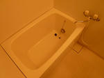 P1050543.JPG