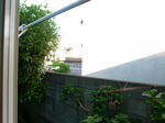 P1240860.jpg