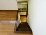 P1260007.jpg