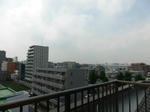 P1030144.jpg