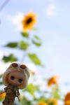 sIMG_2106.jpg