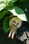 sIMG_2090.jpg