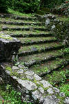 sIMG_2562.jpg