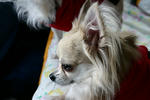 sIMG_2568.jpg
