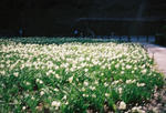 s000021.jpg