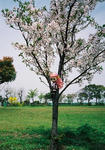 M20080412-07.jpg