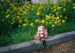 M20080412-16.jpg