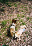 M20080412-10.jpg