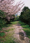 20080412-14.jpg
