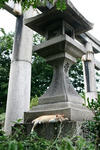 sIMG_4941.jpg