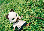 20081004-06.JPG
