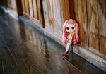 20081004-12.JPG