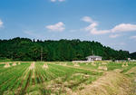 20081004-36.JPG