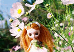 20081004-03.JPG
