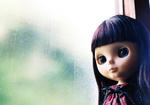 20081004-13.JPG