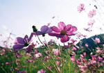 20081004-41.JPG