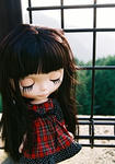 20081004-55.JPG