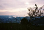 20081101-20.JPG