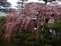 s-DSC05364.jpg