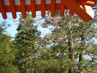 s-DSC05392.jpg