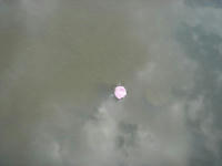 s-DSC05437.jpg