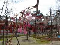 s-DSC05526.jpg