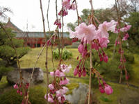 s-DSC05701.jpg