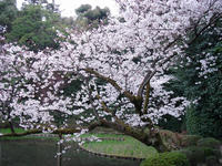 s-DSC05718.jpg