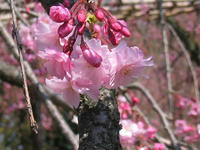 s-s-IMG_9030.jpg