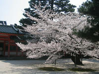 s-s-IMG_9038.jpg