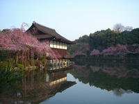 s-DSC05749.jpg