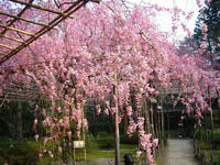s-DSC05781.jpg