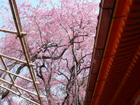s-DSC05785.jpg