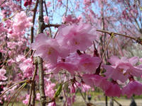 s-DSC05786.jpg